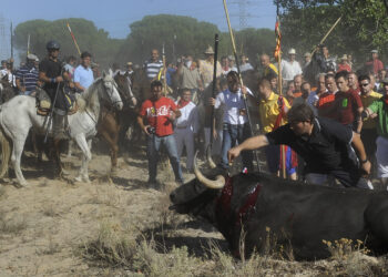 La Junta de Castilla y León deniega la autorización del Toro de la Vega de este año