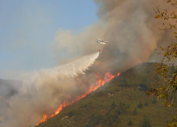 Ante los incendios forestales en Asturias los Grupos ecologistas reclaman a los grupos de la Junta General