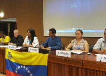 Alto Comisionado de DDHH de la ONU respalda iniciativa de diálogo para preservar la paz en Venezuela