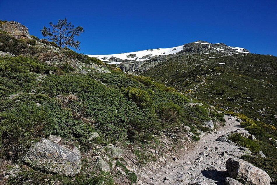 Anulado parcialmente el Plan Rector del Parque Nacional de la Sierra de Guadarrama