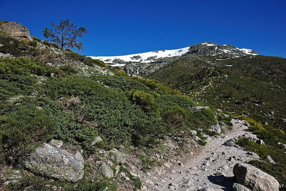 Ecologistas en Acción reclama con urgencia la regulación de eventos multitudinarios en el Parque Nacional de Guadarrama