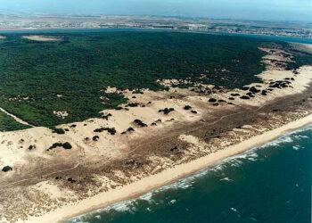 Podemos Andalucía pide la creación de un grupo de trabajo sobre el Parque Nacional de Doñana tras la denuncia de la Comisión Europea