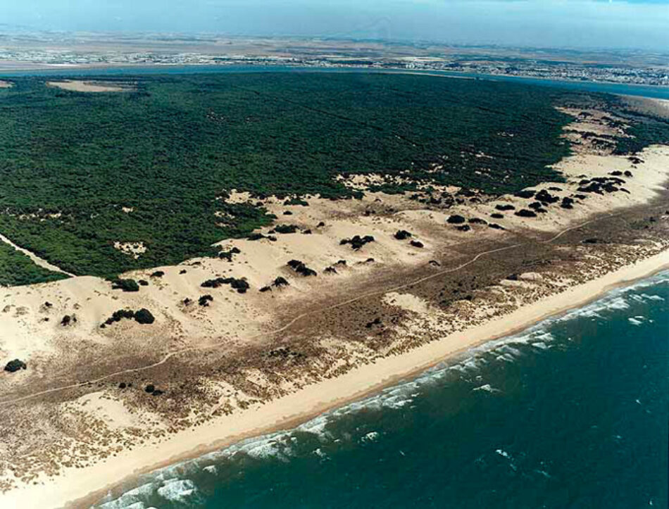 Podemos Andalucía pide la creación de un grupo de trabajo sobre el Parque Nacional de Doñana tras la denuncia de la Comisión Europea