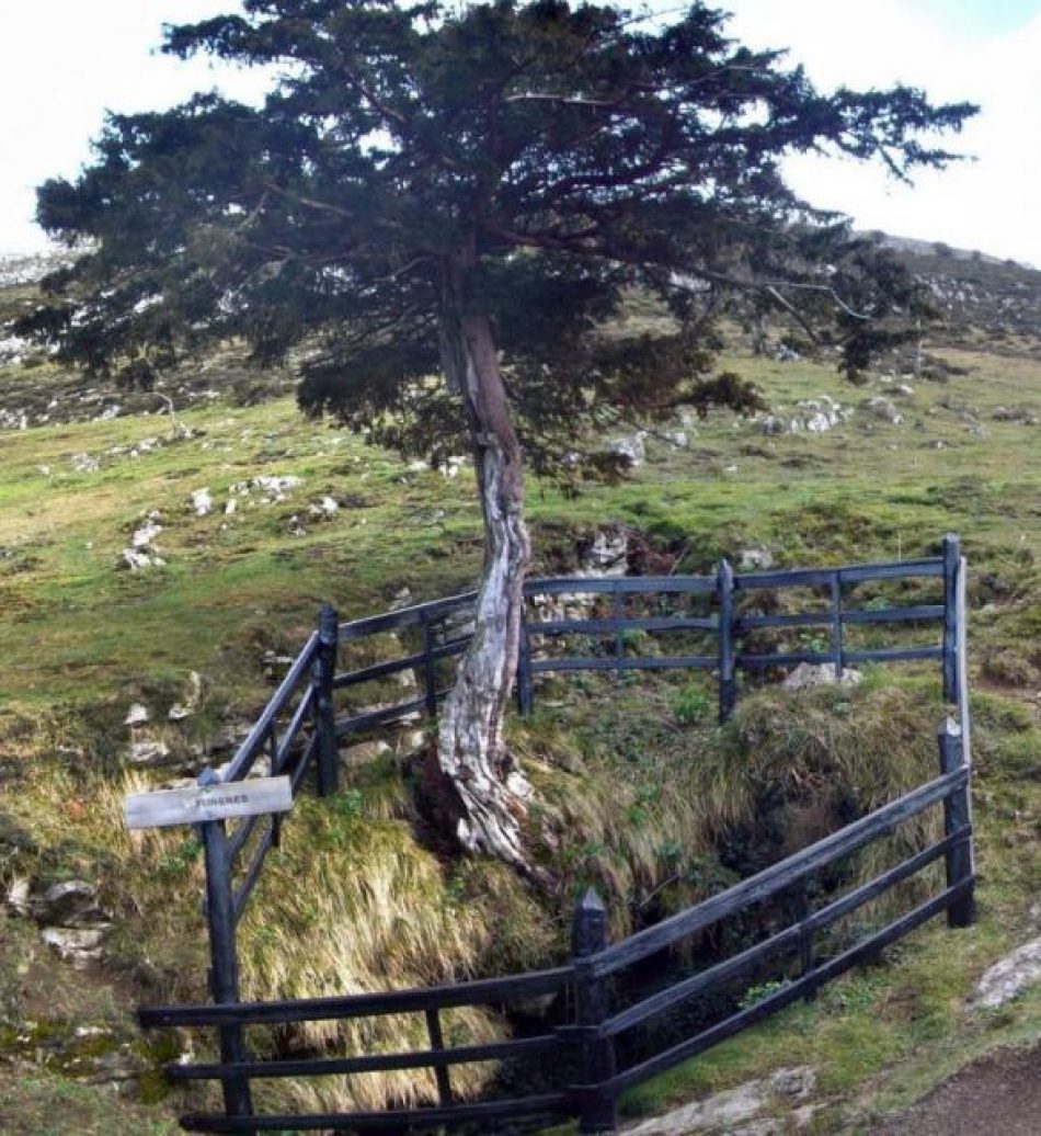 Se suman nuevas denuncias de Asturias a la Querella Argentina y se solicitará la exhumación de la fosa del Pozu Funeres