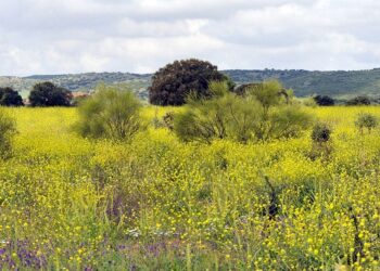 Sí a la Tierra Viva consigue la adhesión del PSOE a su manifiesto contra la minería de tierras raras