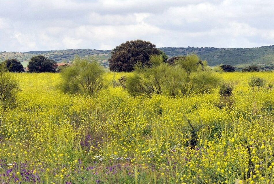 Sí a la Tierra Viva consigue la adhesión del PSOE a su manifiesto contra la minería de tierras raras