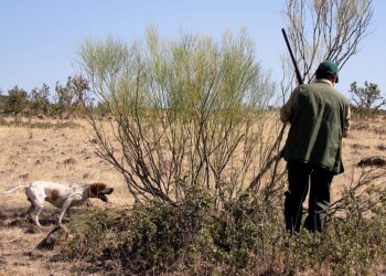 Ecologistas en Acción considera insostenible el actual modelo de regulación cinegética en Castilla-León