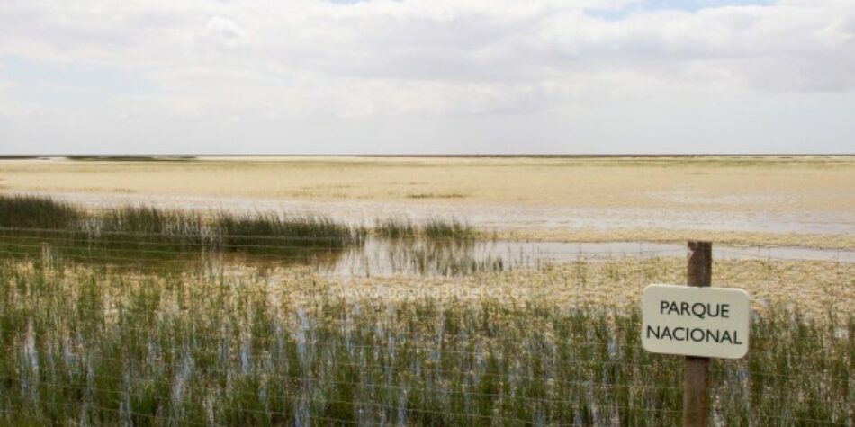 Podemos reclama a la CE que pida información a España sobre los proyectos de gas en Doñana para que sean evaluados desde Bruselas