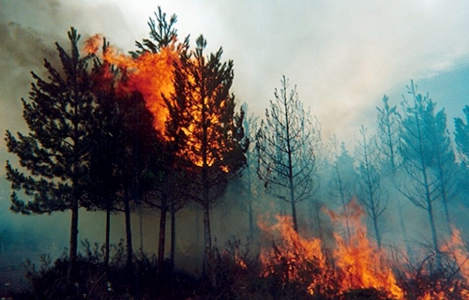 EQUO Andalucía pide que se extreme la precaución ante el peligro de incendios forestales