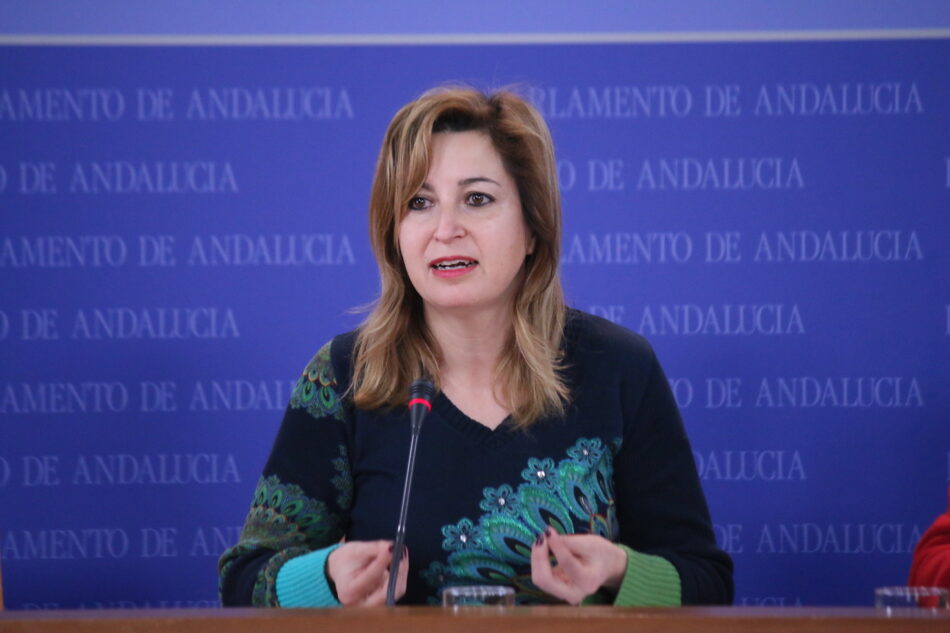 Podemos Andalucía cierra el periodo de sesiones con 2.000 iniciativas y nueve leyes presentadas