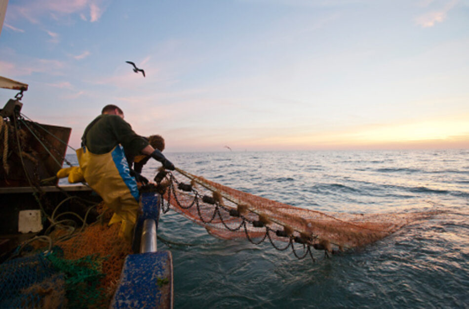 Acuerdo positivo en la UE sobre el arrastre de fondo en aguas profundas