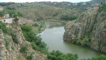 Organizaciones ecologistas denuncian un incumplimiento del caudal mínimo ecológico del Tajo a su paso por Aranjuez
