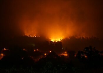 Participa denuncia la falta de medidas eficientes en la lucha ante incendios de la Diputación de Sevilla