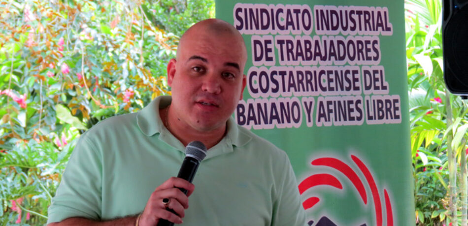 Costa Rica: Expansión del monocultivo de piña y la pérdida de derechos