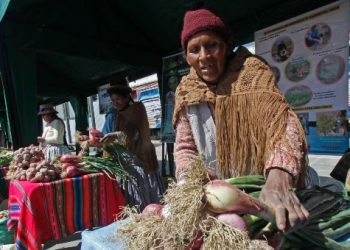 Más de 2 millones de bolivianos salieron de la extrema pobreza