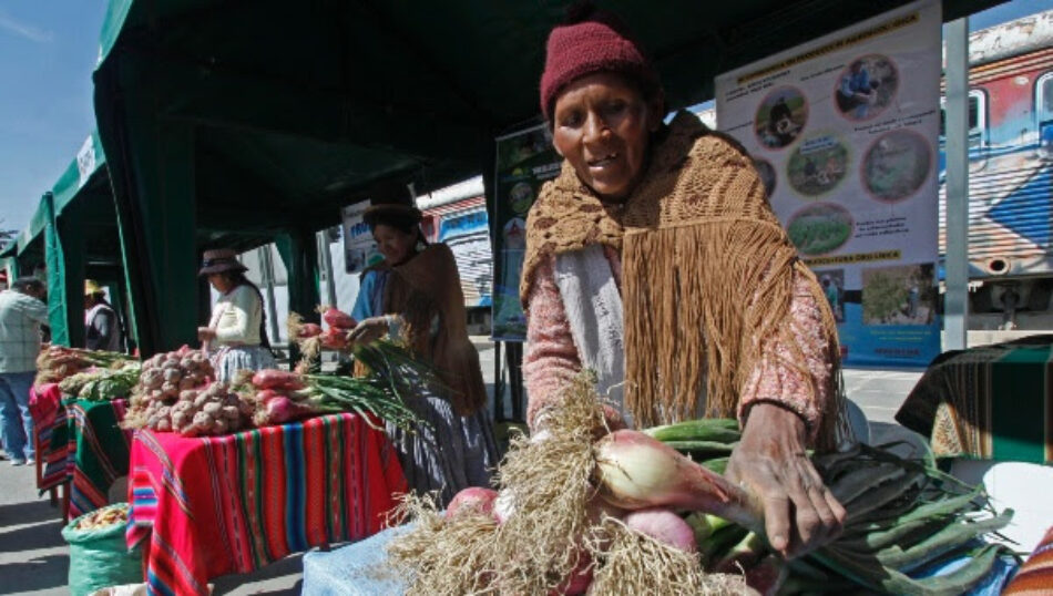 Más de 2 millones de bolivianos salieron de la extrema pobreza