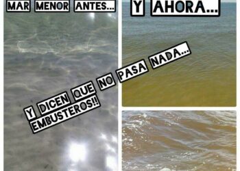 “El Partido Popular vincula el futuro del Mar Menor a más hormigón y cemento”