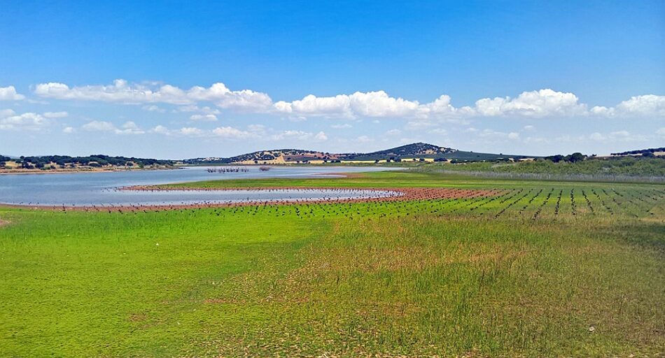 La Confederación Hidrográfica del Guadiana informa de manera desfavorable sobre la minería de tierras raras en Ciudad Real