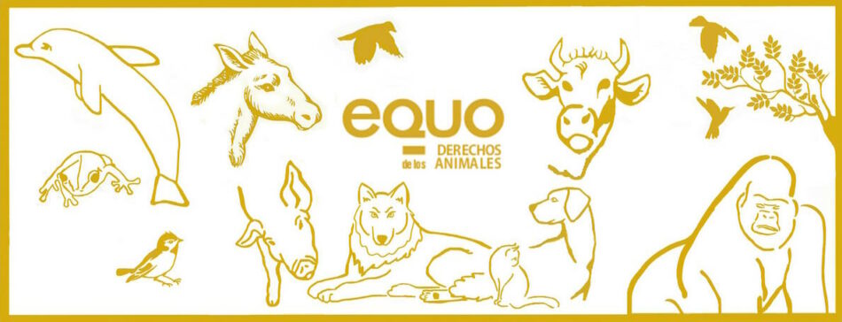 EQUO exige que se elimine definitivamente el maltrato animal de “la programación de ferias y fiestas”