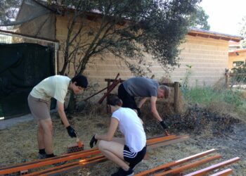 Jóvenes de once países llegan a la Comunidad de Madrid para trabajar en favor de la biodiversidad