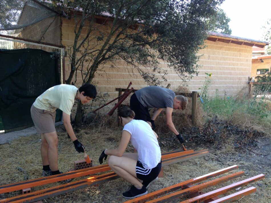 Jóvenes de once países llegan a la Comunidad de Madrid para trabajar en favor de la biodiversidad