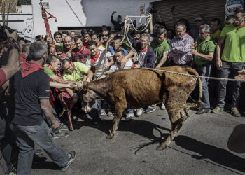 EQUO Andalucía exige que se elimine definitivamente el maltrato animal de “la programación de ferias y fiestas”