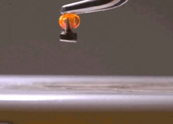 El MIT diseña los primeros objetos impresos en 3D que cambian de forma