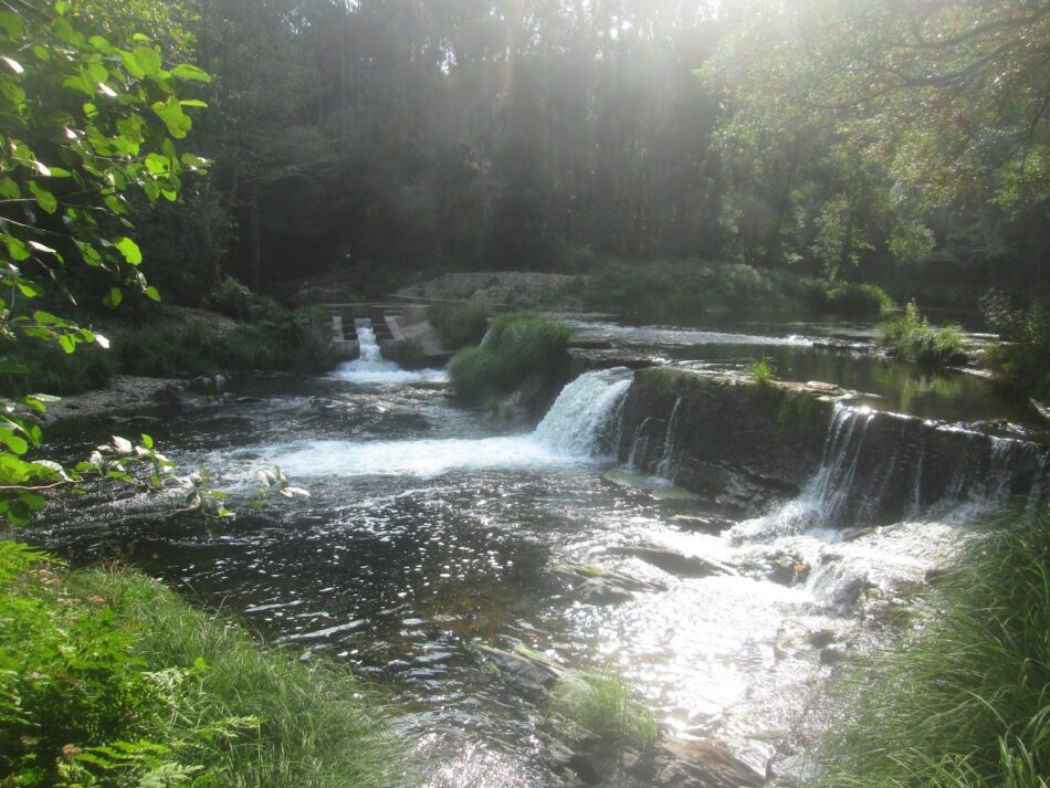 Coordinadora Ecoloxista d’Asturies y Salternavia: «Demolamos las presas sin uso del río Eo»