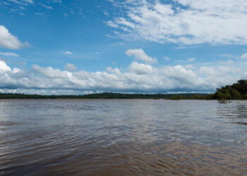 Cancelado el proyecto de la mega presa que amenazaba con destruir el corazón de la Amazonia