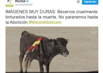 PACMA incendia las redes sociales con un vídeo brutal de una becerrada en Toledo