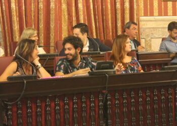 Participa Sevilla celebra que el TSJA ratifique la vulneración de derechos fundamentales en el pleno de presupuestos