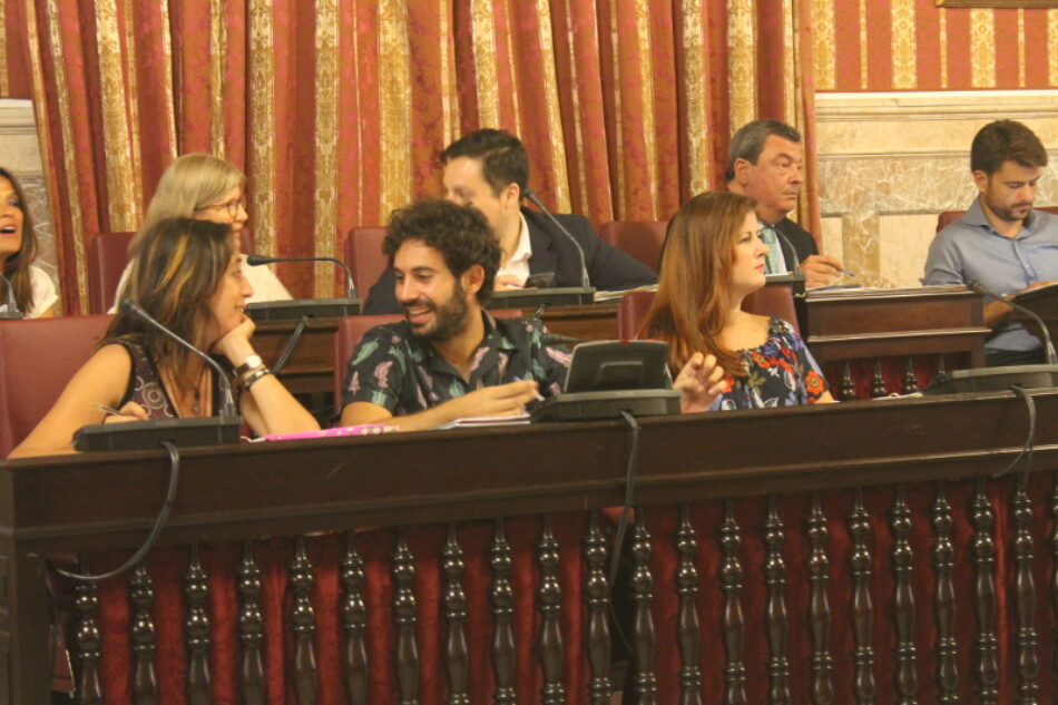 Participa Sevilla celebra que el TSJA ratifique la vulneración de derechos fundamentales en el pleno de presupuestos