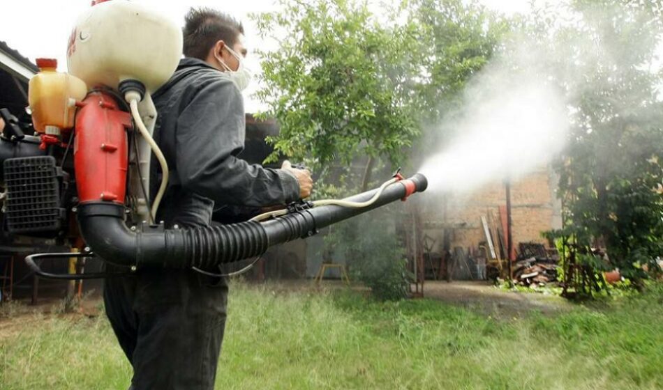 Las fumigaciones con Cipermetrina: nueva agresión contra las abejas y el sector apícola