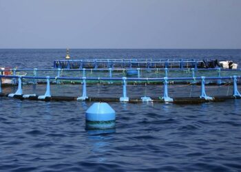 En Marea denuncia que o Goberno en funcións pretende abrirlle ás portas á acuicultura industrial