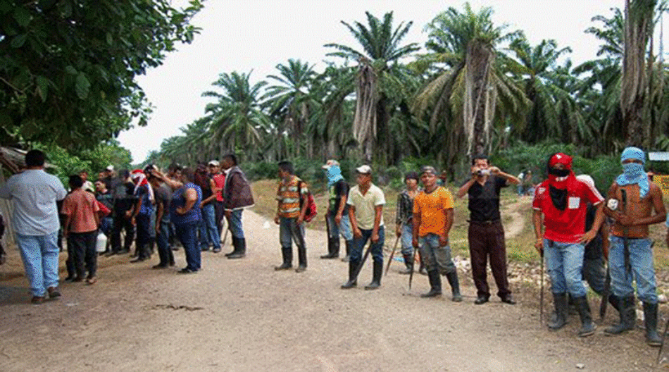 Honduras: Guardias de poderoso terrateniente hieren a campesinos y defensores en violento desalojo