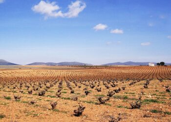 Ecologistas en Acción pide que se evalúe el potencial radioactivo de la minería de tierras raras en la provincia de Ciudad Real