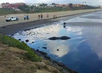 EQUO reprocha la falta de agilidad en el tratamiento del vertido de crudo en Algeciras