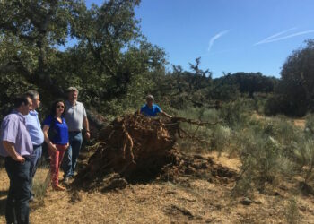 EQUO llevará hasta el Congreso el conflicto con la mina de uranio en Salamanca