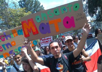 Bayer compra Monsanto: una nueva amenaza para la soberanía alimentaria a nivel mundial