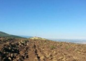 Destrucción de 91 hectáreas de monte en el Parque Natural de la Sierra de Guadarrama