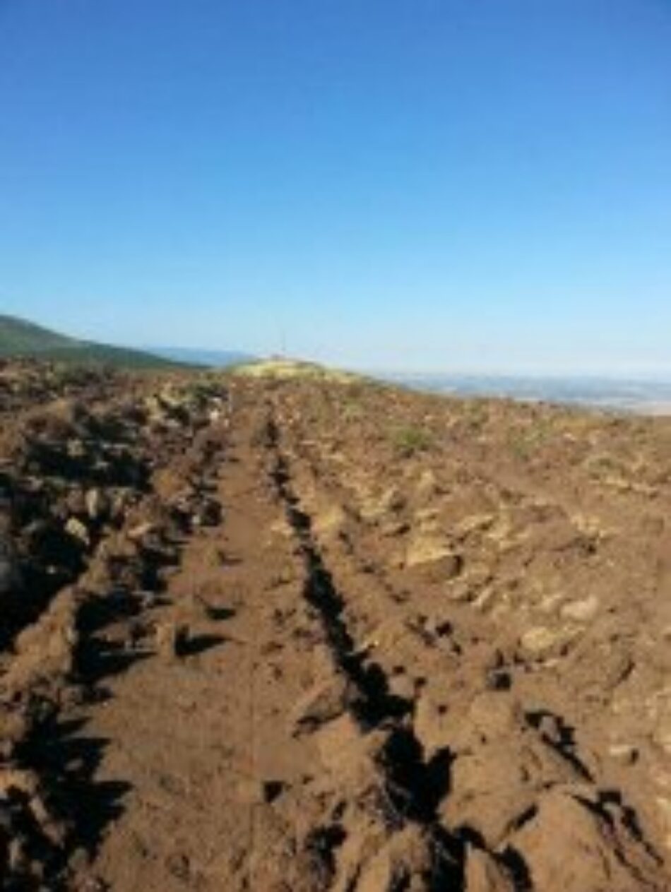 Destrucción de 91 hectáreas de monte en el Parque Natural de la Sierra de Guadarrama