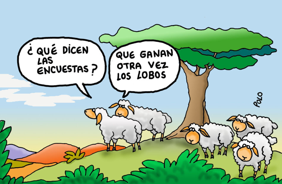 Terceras eleccciones