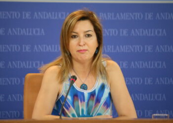 El Parlamento solicita al Ejecutivo andaluz el pago de las ayudas adeudadas a los autónomos