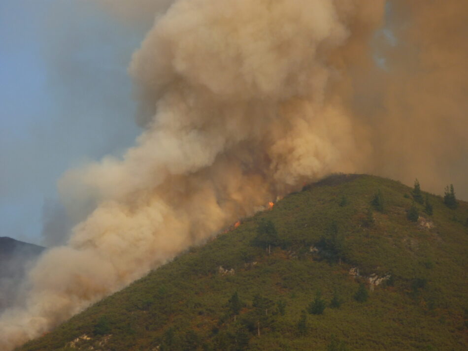 Los representantes ambientales en el Consejo Forestal y el Consejo del Fuego exigen su opinión sobre la modificación de los acotamientos en Asturias