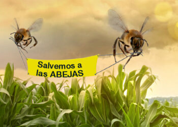 Greenpeace pide paralizar fumigaciones aéreas en Andalucía que matan a las abejas