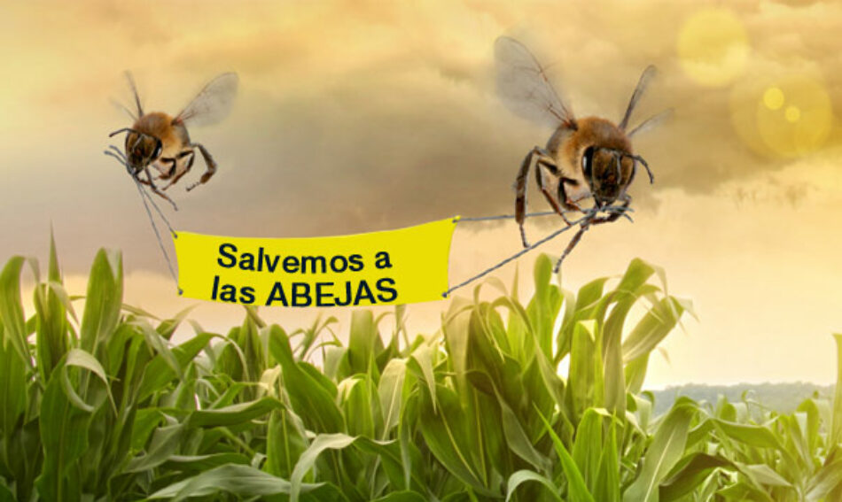 Greenpeace pide paralizar fumigaciones aéreas en Andalucía que matan a las abejas
