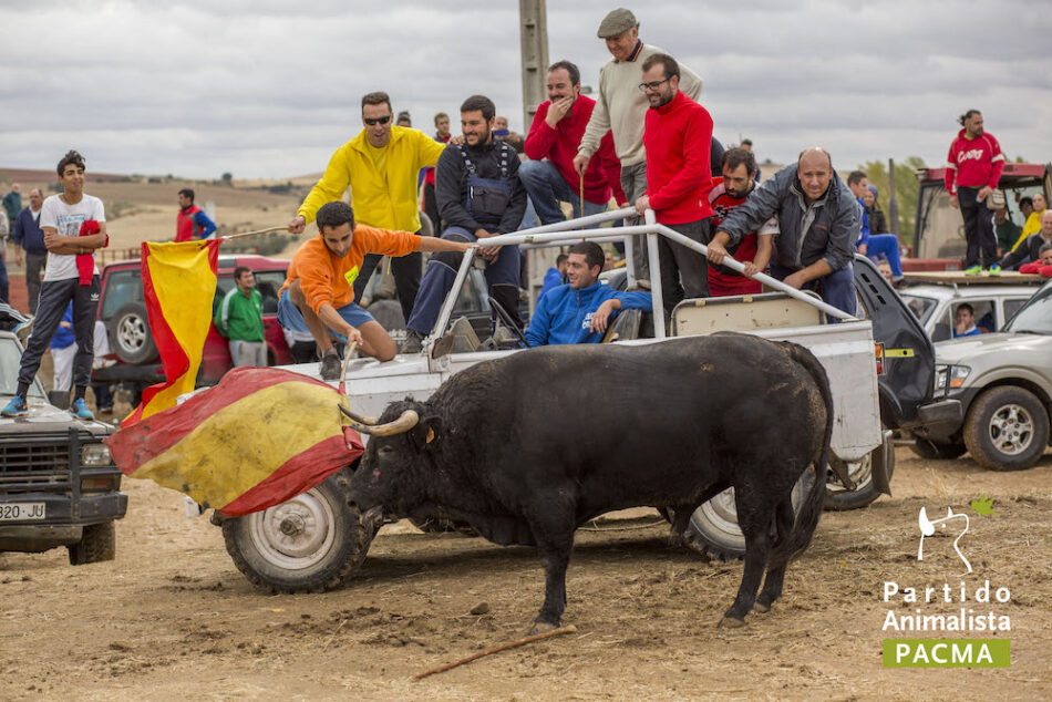 PACMA denuncia «un rally contra los animales» en La Alcarria