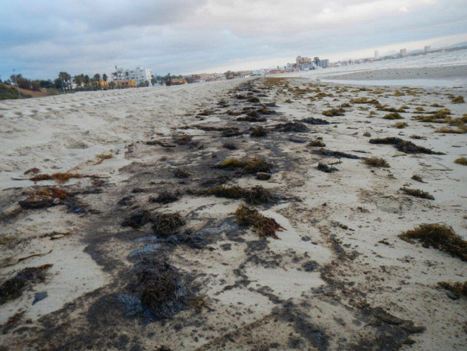 Piden el fin de vertidos de hidrocarburos en la Bahía de Algeciras