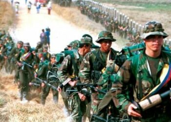 Colombia: Las FARC empezaron a replegarse a sus campamentos en la selva