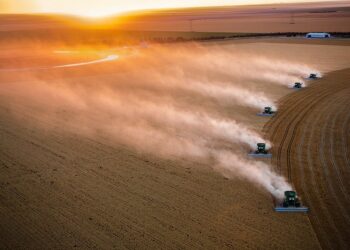 Amigos de la Tierra denuncia en un informe los impactos del TTIP en el sector agroalimentario